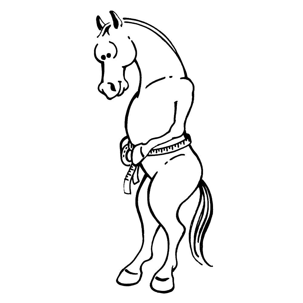 Horse & Pony Weight and Height Measuring Tape – Sure Measure by Tough1