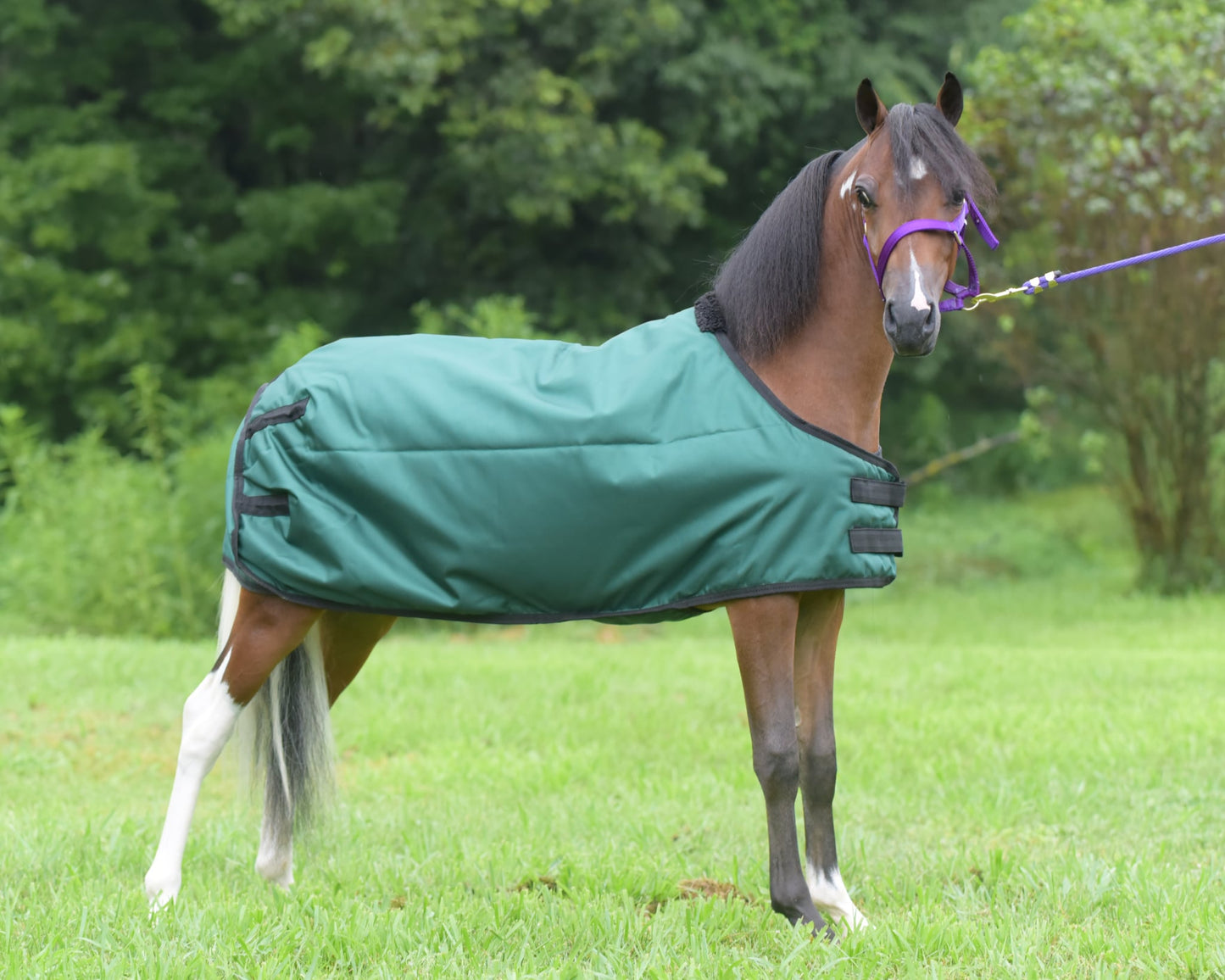 1680D Mini Belly Wrap Blanket by Triple L