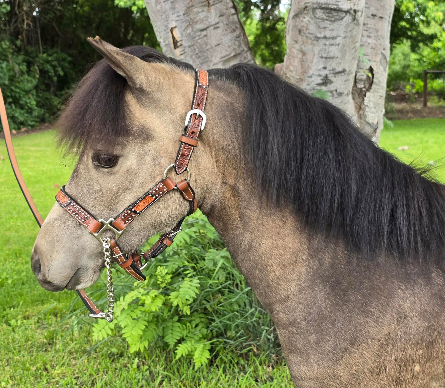 Miniature Horse and Pony Western Leather Halter with Lead – Royal King Cow Puncher