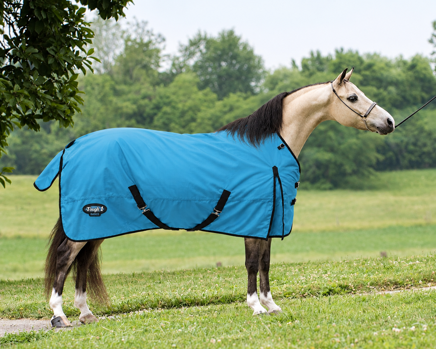 Pony Turnout Blanket – Basics by Tough1 1200D Waterproof 300g