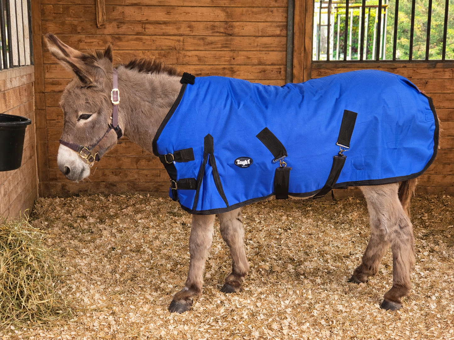 1200D Turnout Blanket 250g, Basics by Tough1