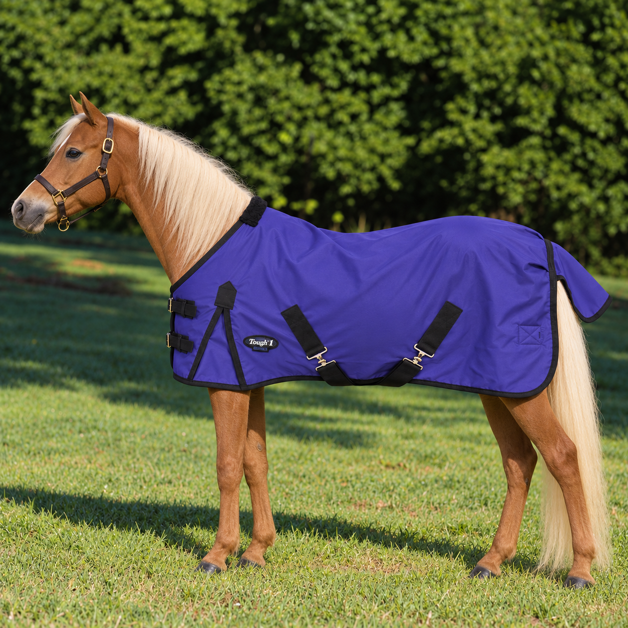 1200D Turnout Blanket 250g, Basics by Tough1