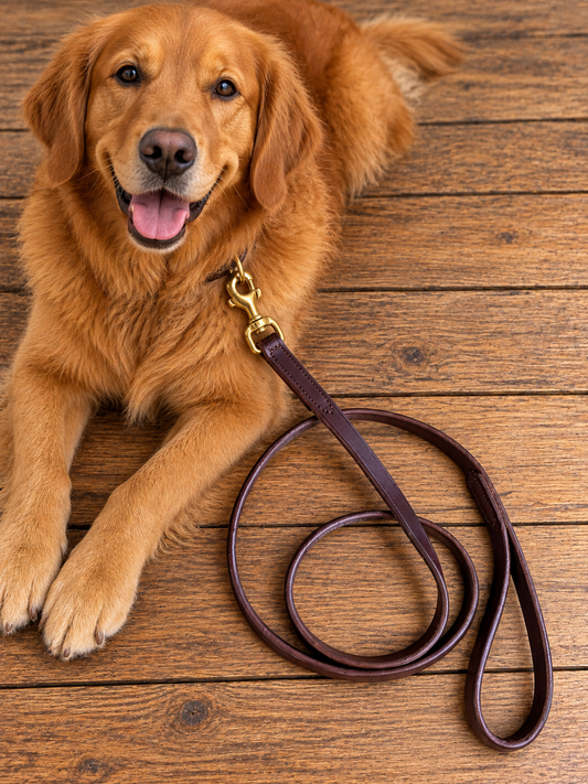 Amish Made Flat Leather Dog Leash with Handle – Brass Snap – 5'