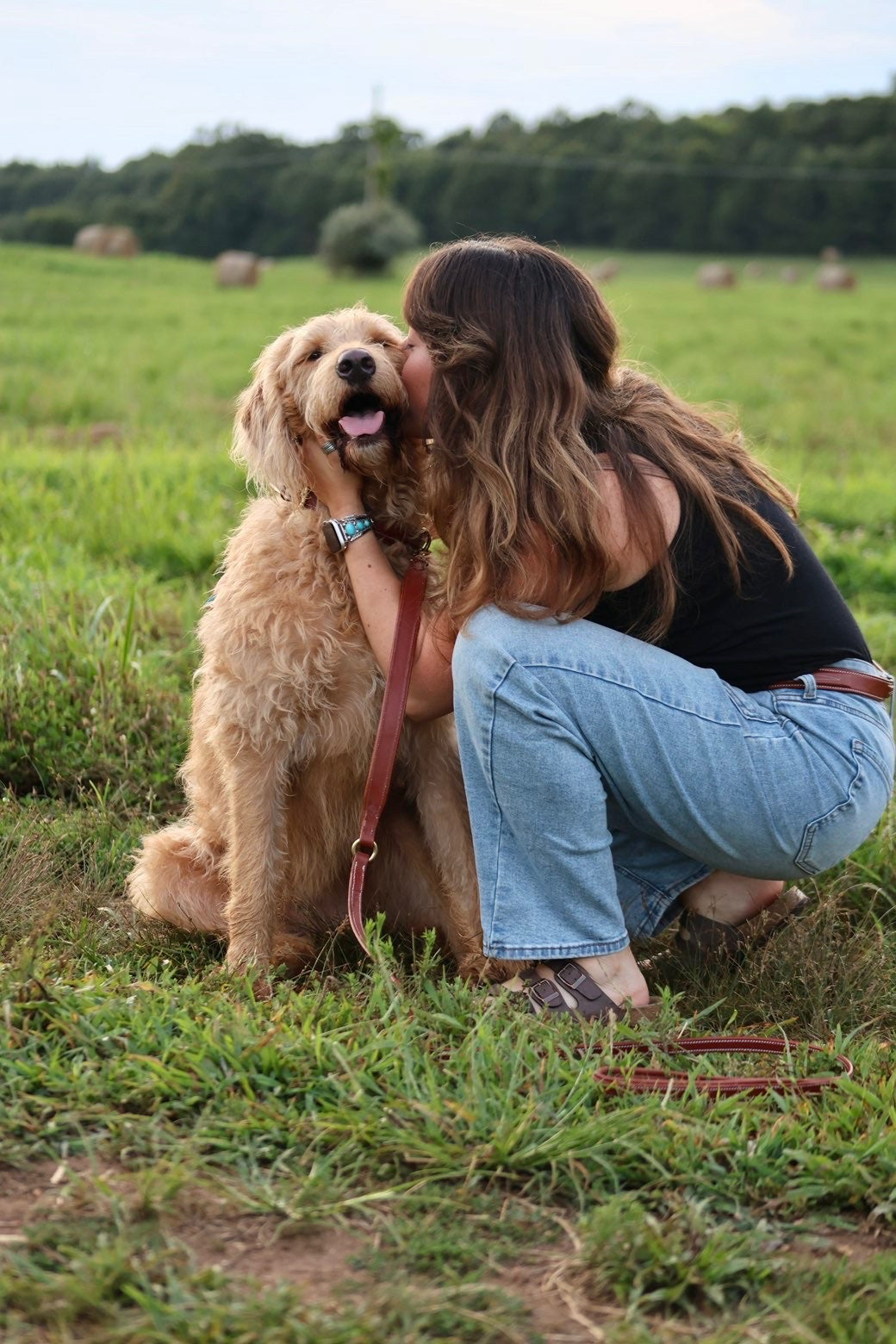 Premium Padded Leather Dog Leash with Brass Hardware