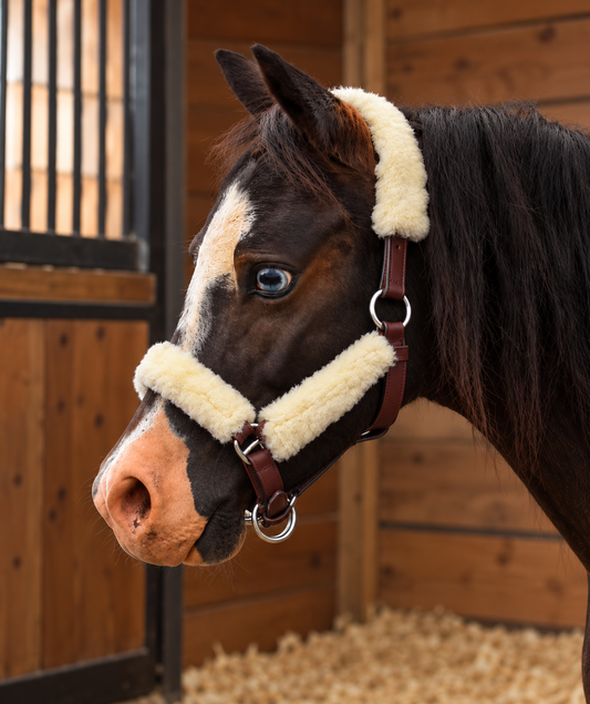 Mini Fleece Halter Set by Tough1