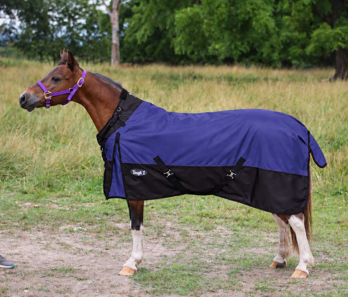 Tough1 Pony Turnout Blanket with Snuggit