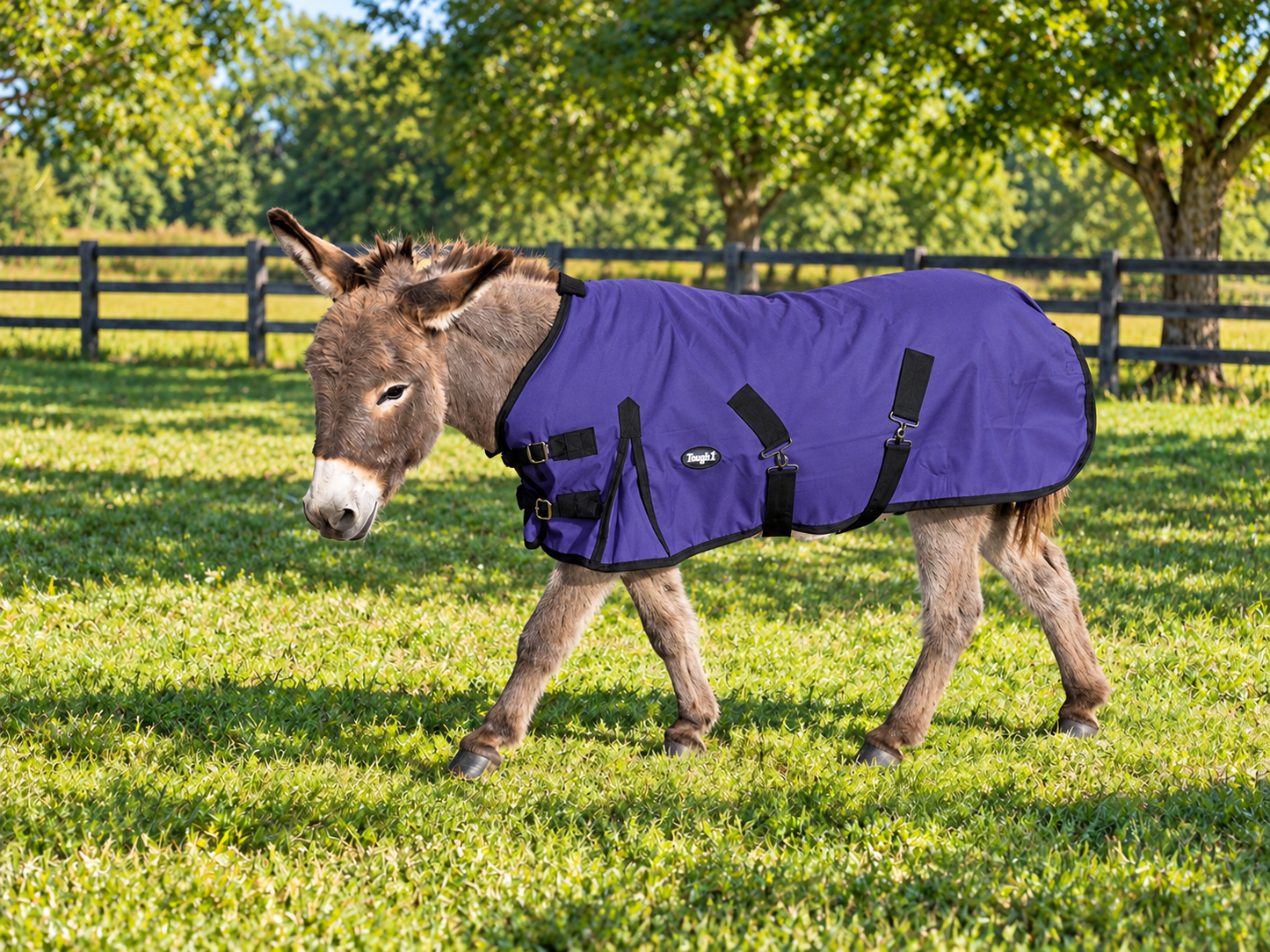 1200D Turnout Blanket 250g, Basics by Tough1