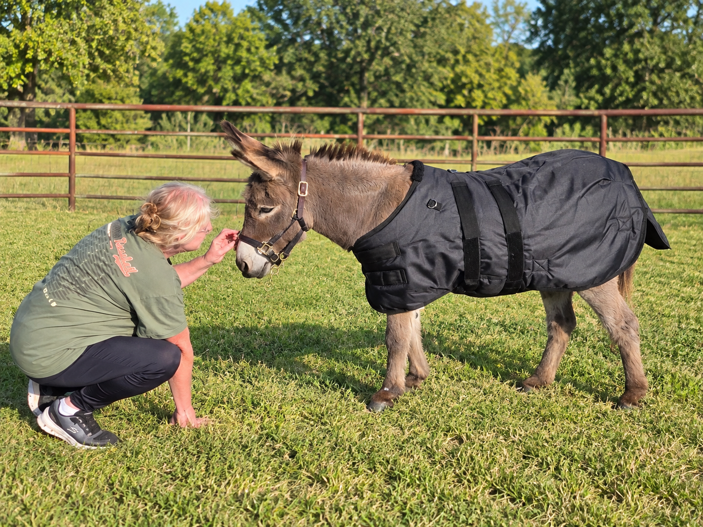 Waterproof Winter Blanket by Mountain Tack
