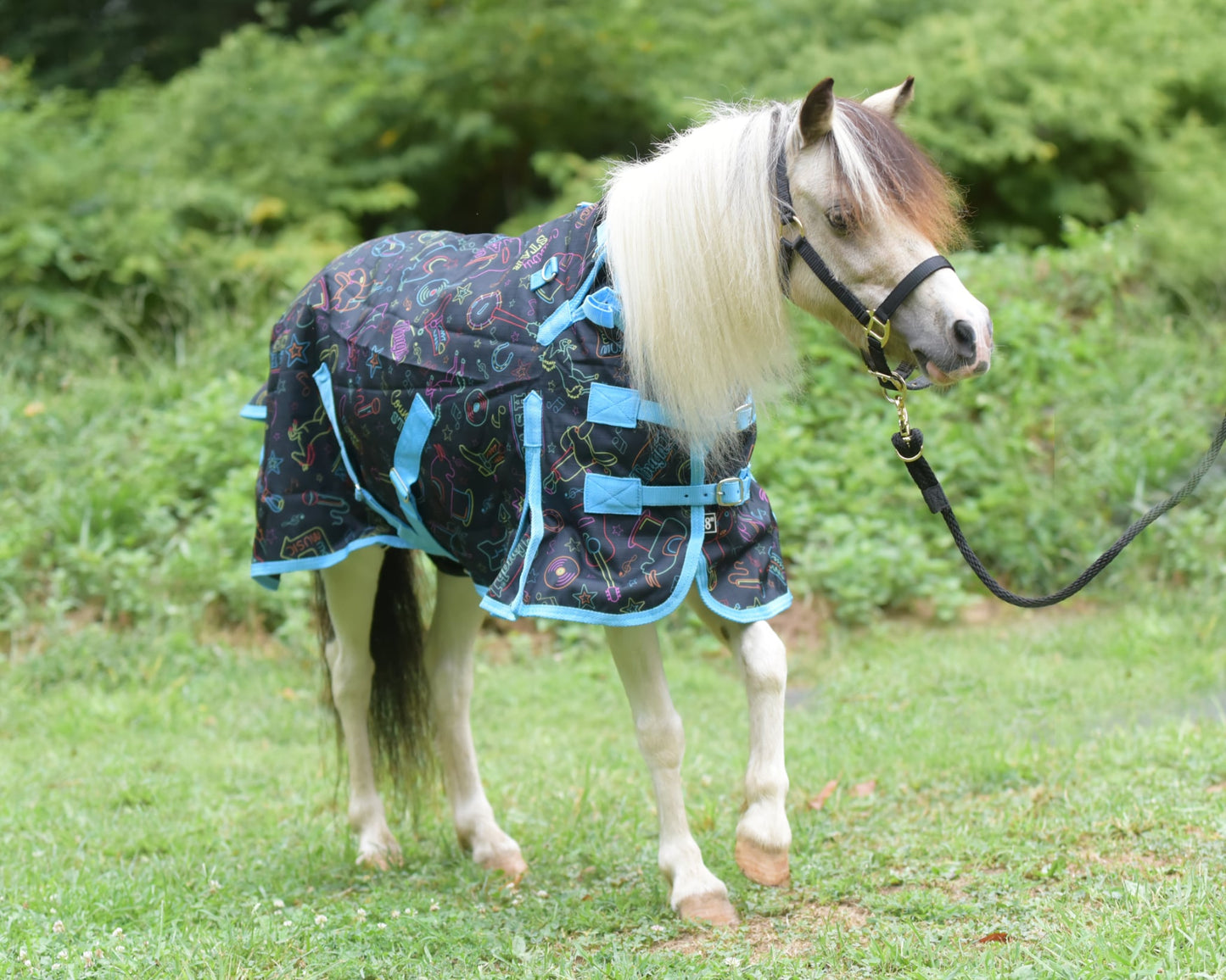 1200D Waterproof 250g Miniature Blanket