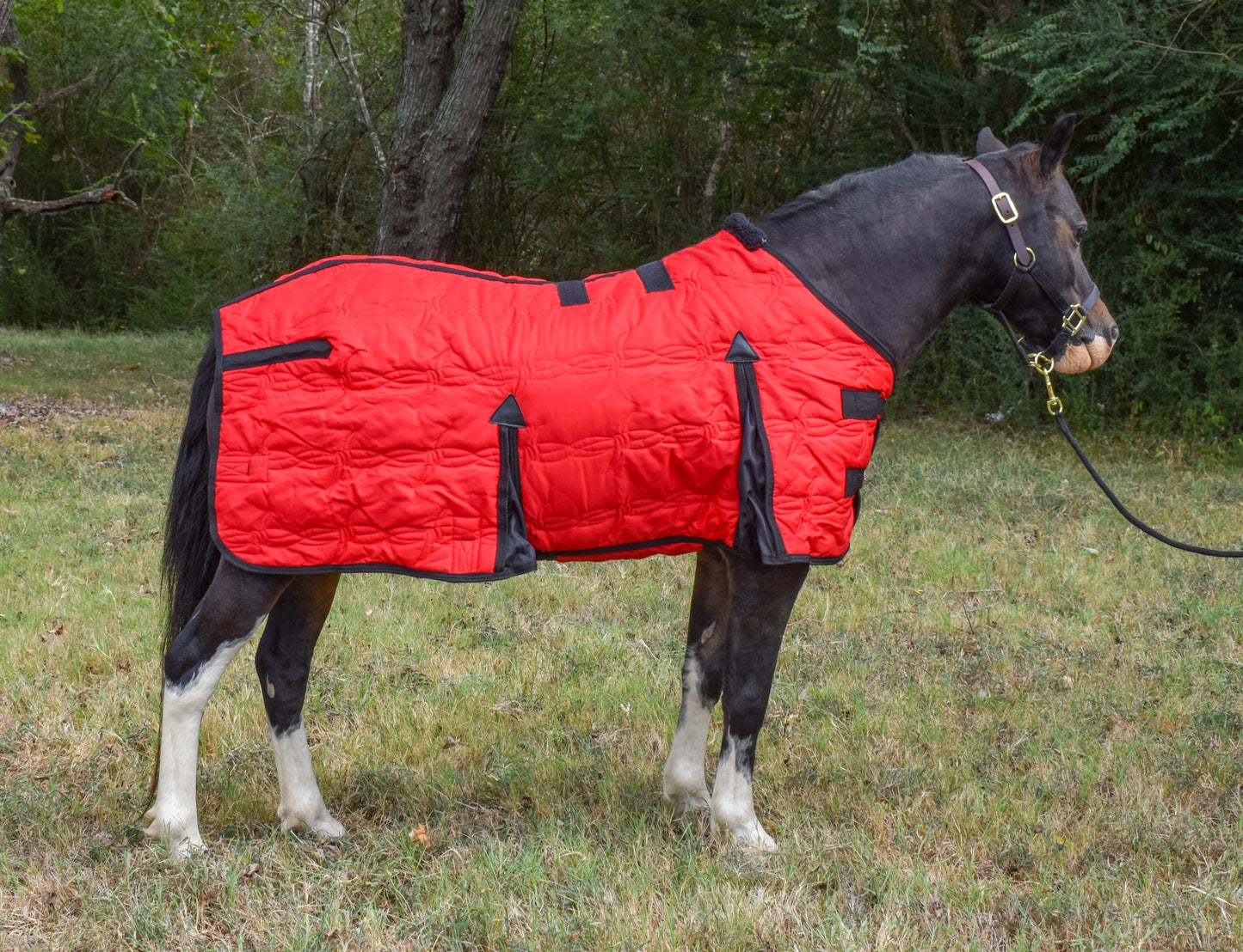 Miniature Horse 600D Stable Blanket with Belly Wrap – Durable & Warm, by Tough1