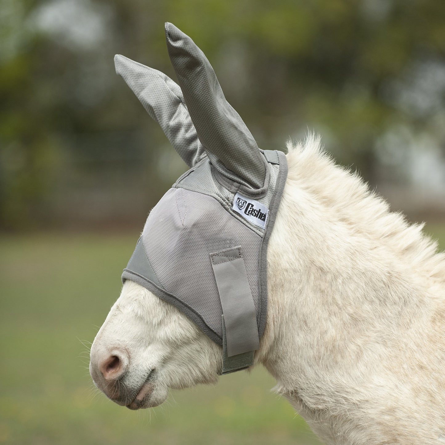 Cashel Fly Mask w/Ears for Miniatures and Ponies