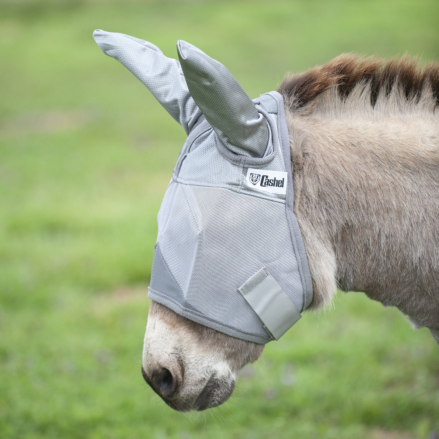 Cashel Fly Mask w/Ears for Miniatures and Ponies