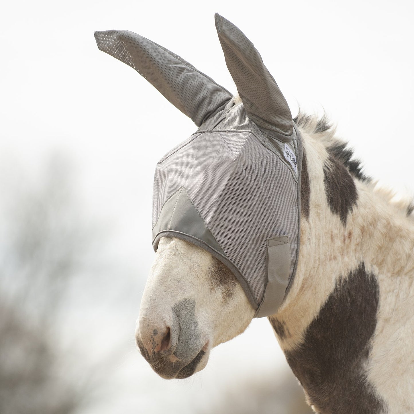 Cashel Fly Mask w/Ears for Miniatures and Ponies