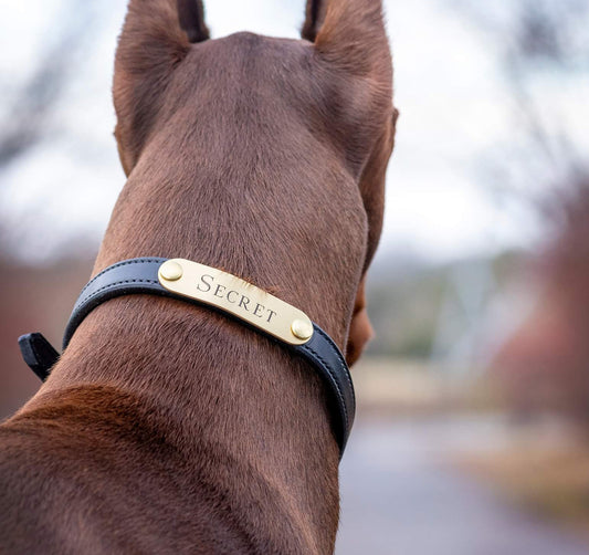 Personalized Amish Made Flat Leather Dog Collar with One Brass Tag