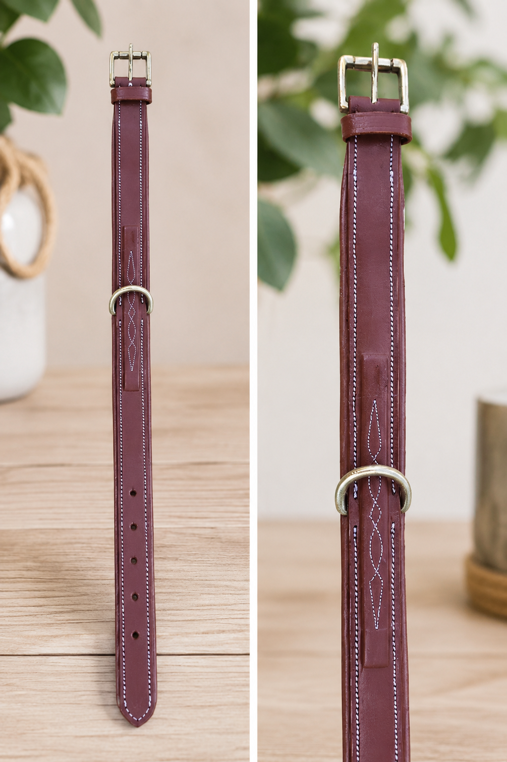 Premium Padded Leather Dog Collar with Brass Hardware