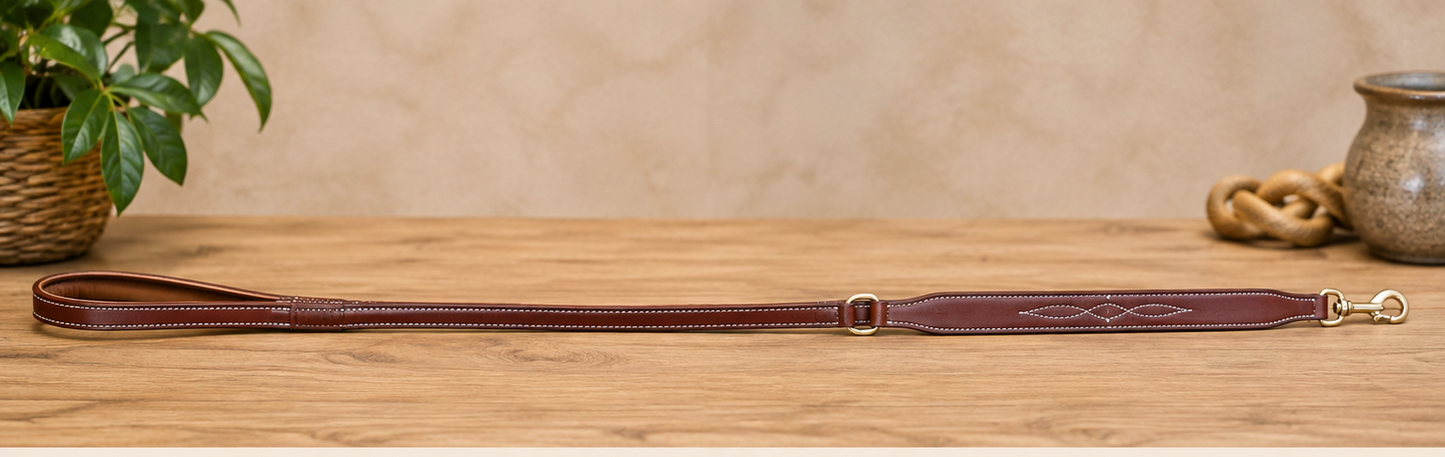 Premium Padded Leather Dog Leash with Brass Hardware