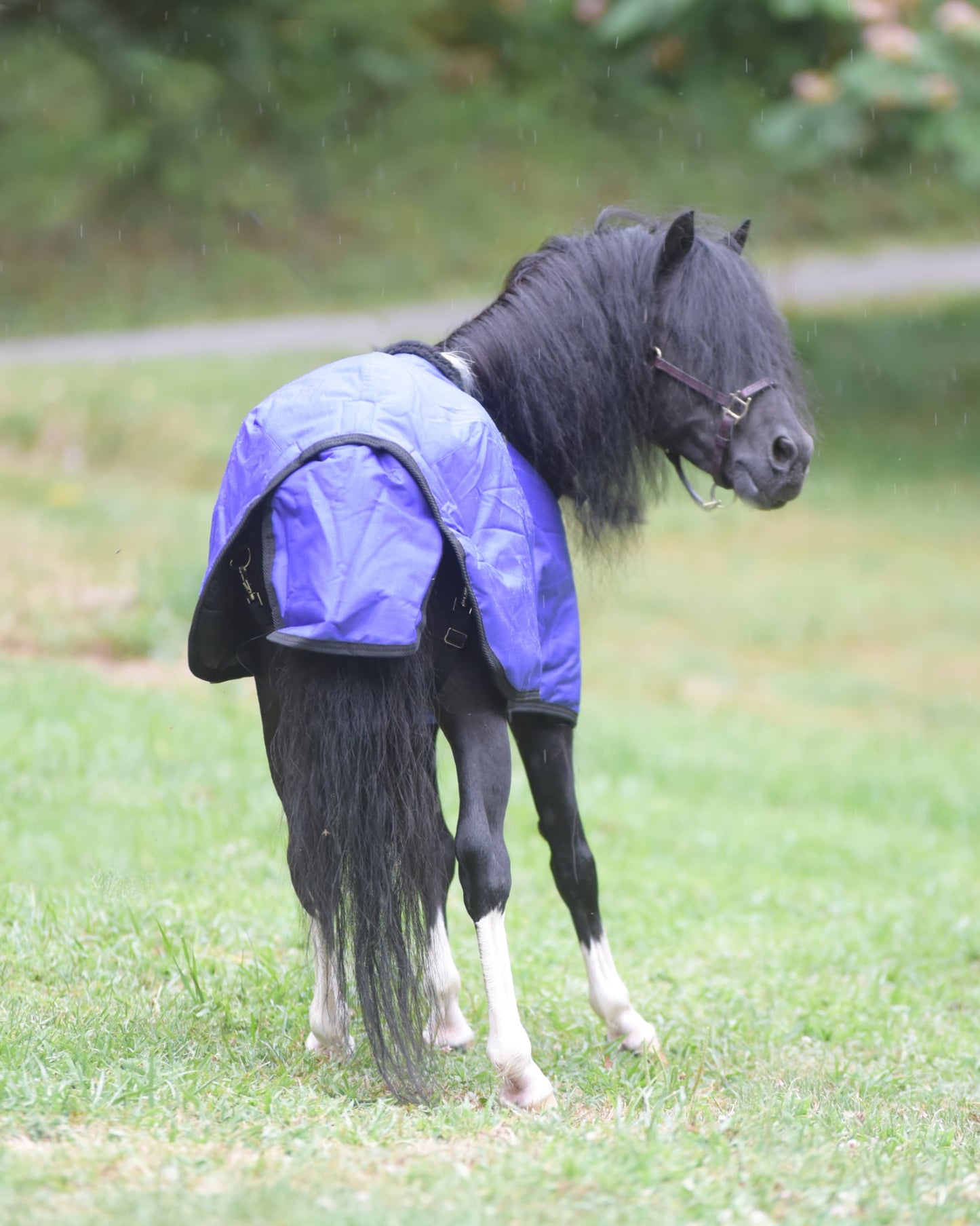 Waterproof Winter Blanket by Mountain Tack