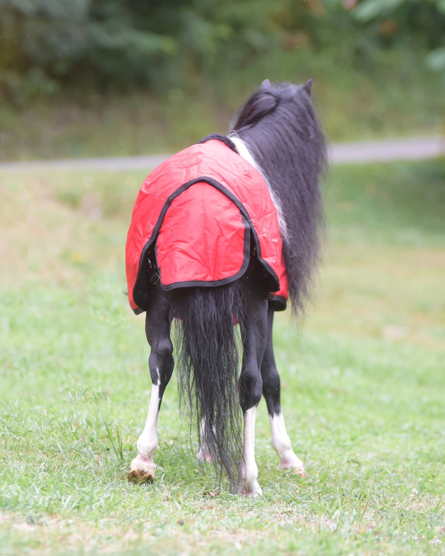 Waterproof Winter Blanket by Mountain Tack