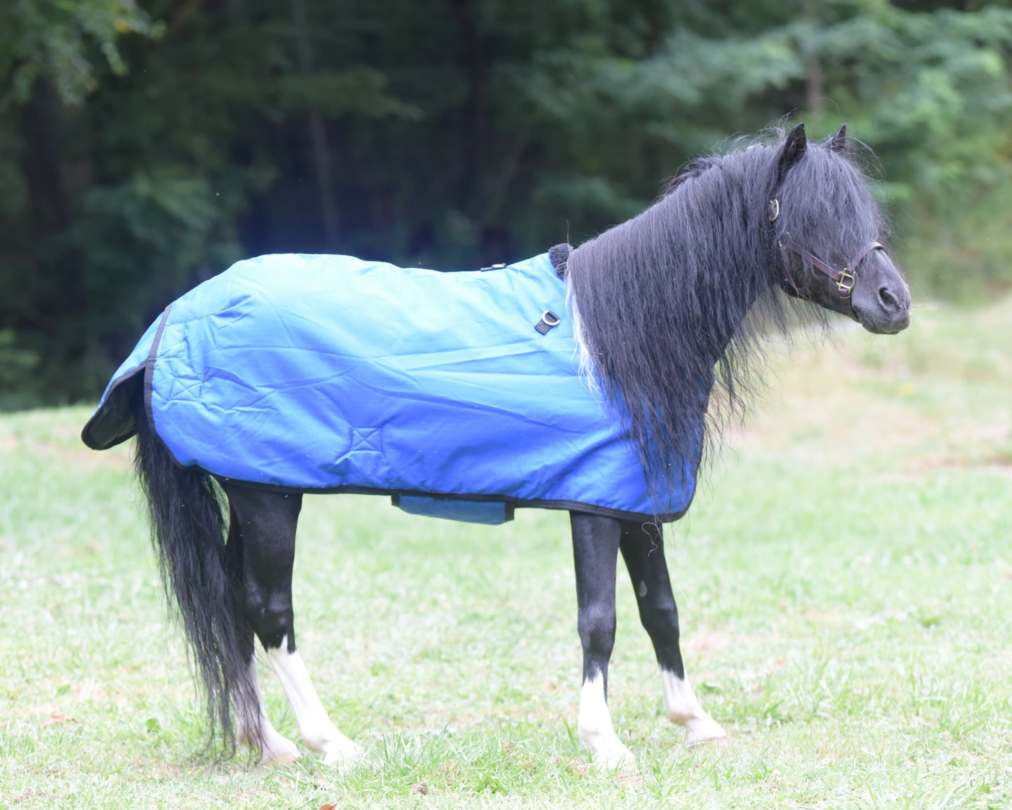Waterproof Winter Blanket by Mountain Tack