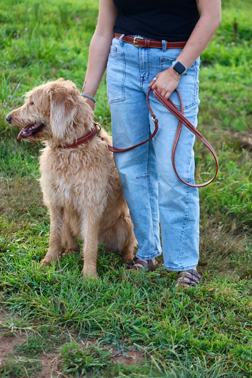 Premium Padded Leather Dog Leash with Brass Hardware