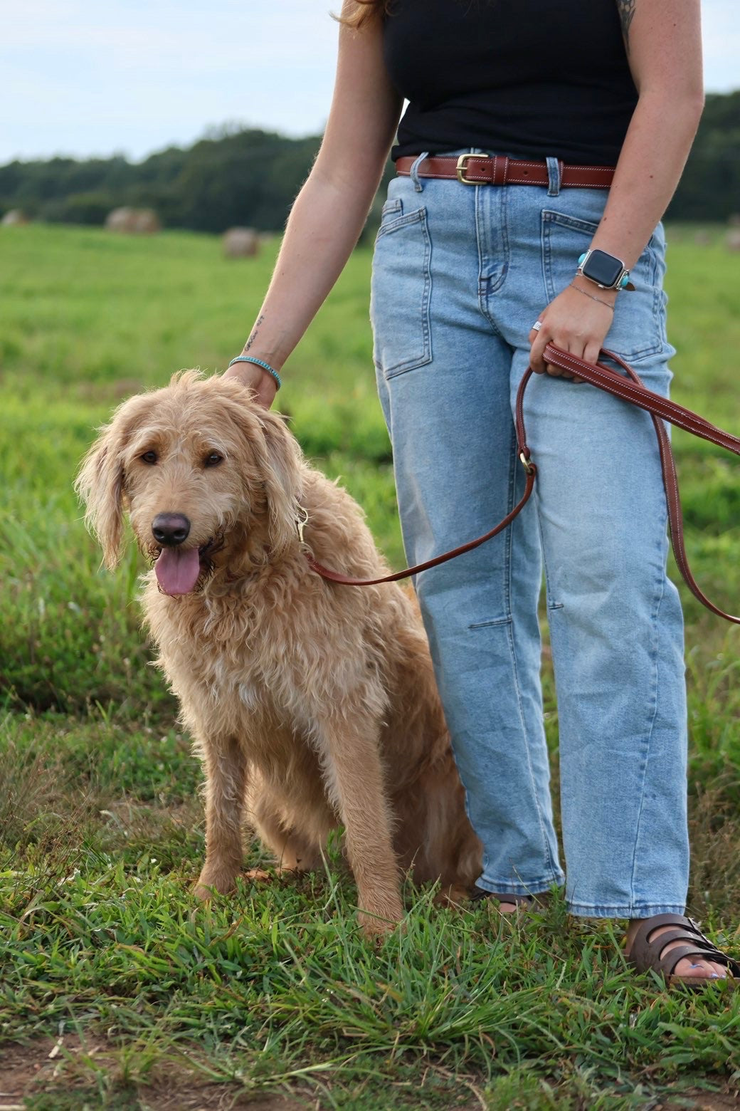 Premium Padded Leather Dog Leash with Brass Hardware