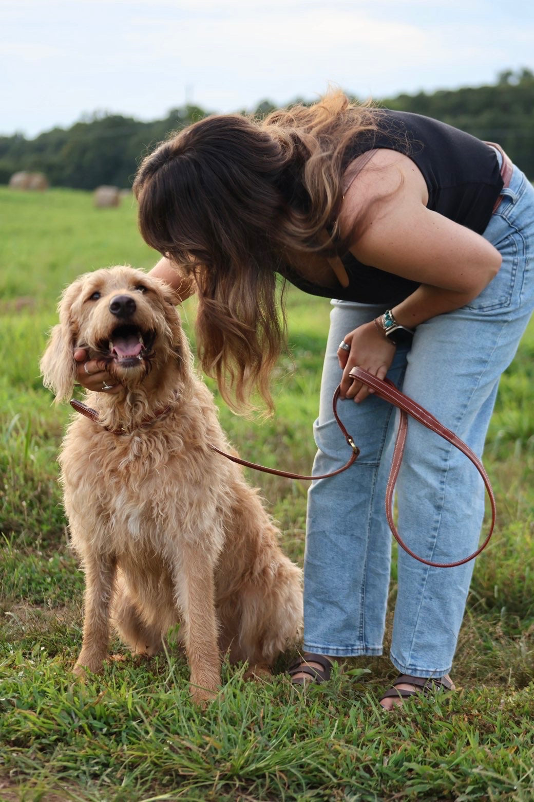 Premium Padded Leather Dog Leash with Brass Hardware