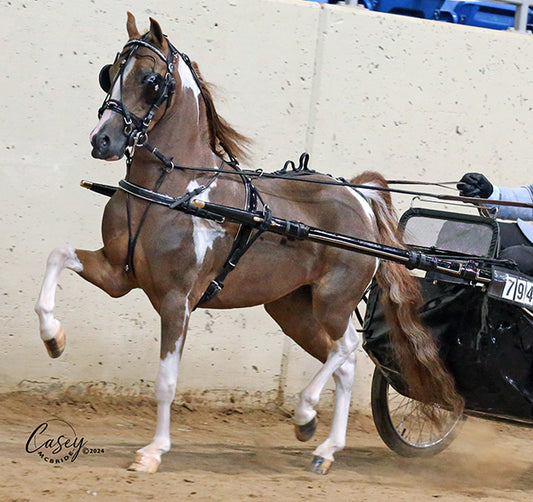 Rolled Leather Fancy Show Harness for Minis and Ponies by Mose Miller