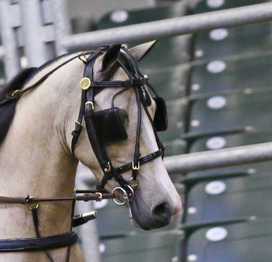 Mose Miller Driving Show Headstall for Minis & Ponies