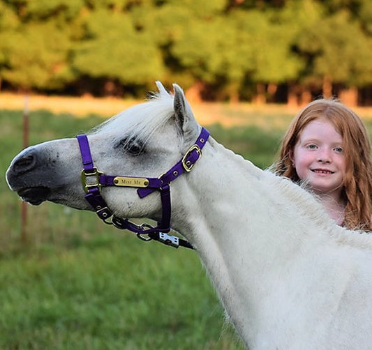 Premium Nylon Miniature & Pony Halter with One Brass Tag