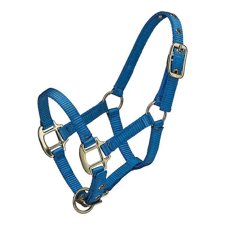 Premium Nylon Miniature & Pony Halter with One Brass Tag