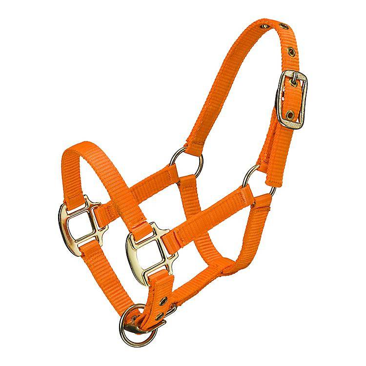 Premium Nylon Miniature & Pony Halter with One Brass Tag