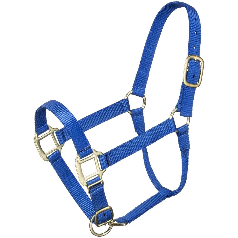 Premium 3/4" Mini Nylon Halter