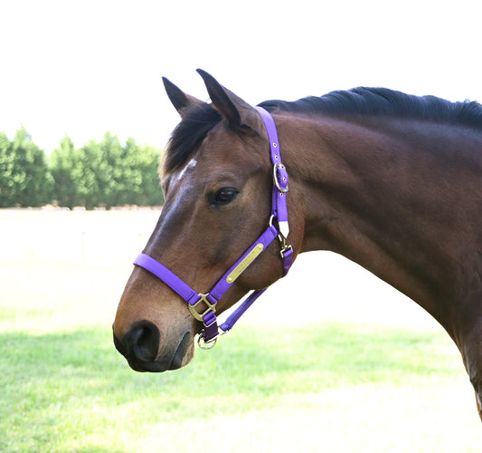 Premium Nylon Horse Halter with Two Brass Tags