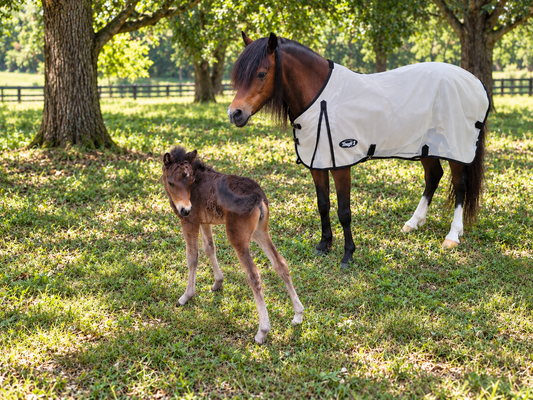 Tough1 Pony PVC Mesh Bug Barrier Fly Sheet
