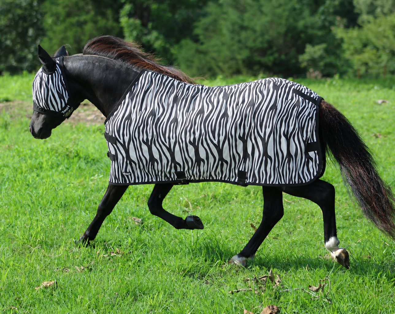 Miniature Horse and Pony Zebra Fly Sheet by Tough1